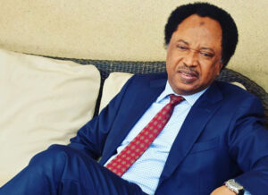 'No Nigerian President in his right senses will ever closely embrace or trust a man who repeatedly celebrated and gloated about sending President Yar’adua to his grave' - Senator Sani