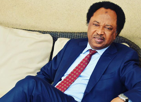Senator Shehu Sani