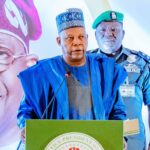 VP Kashim Shettima