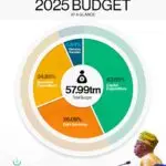 2025 Budget of Restoration: Breakdown of recently passed budget by NASS - 'Capital Expenditure makes up 43.65% at N23.9trn'