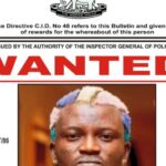 Singer, Portable, declared 'wanted'