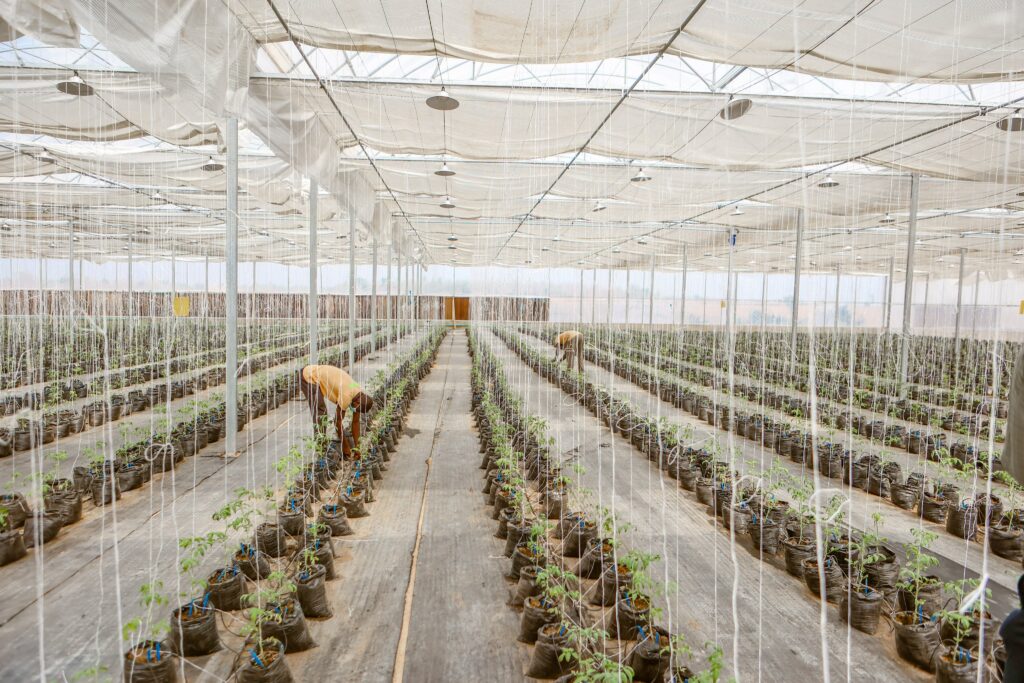 Photos: Governor Makinde takes Sierra Leone President, Maada Bio, to Fashola Agribusiness Industrial Hub