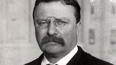 United States: ‘Theodore Roosevelt’s ideas on immigrants and being an American in 1907’