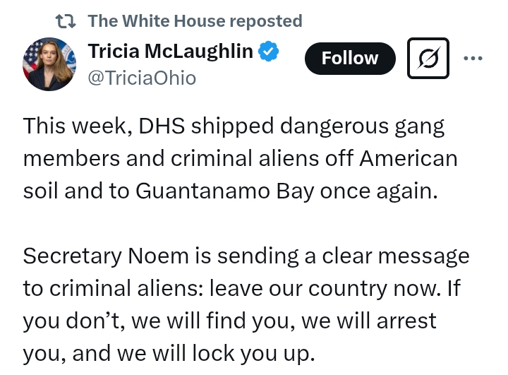 United States: 'DHS shipped dangerous g*ng members and criminal aliens off American soil and to Guantanamo Bay'