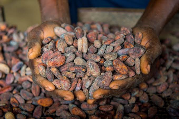 Nigeria’s Economy: ‘Nigeria’s non-oil exports hit a record $1.7 billion in QI’ – Presidency