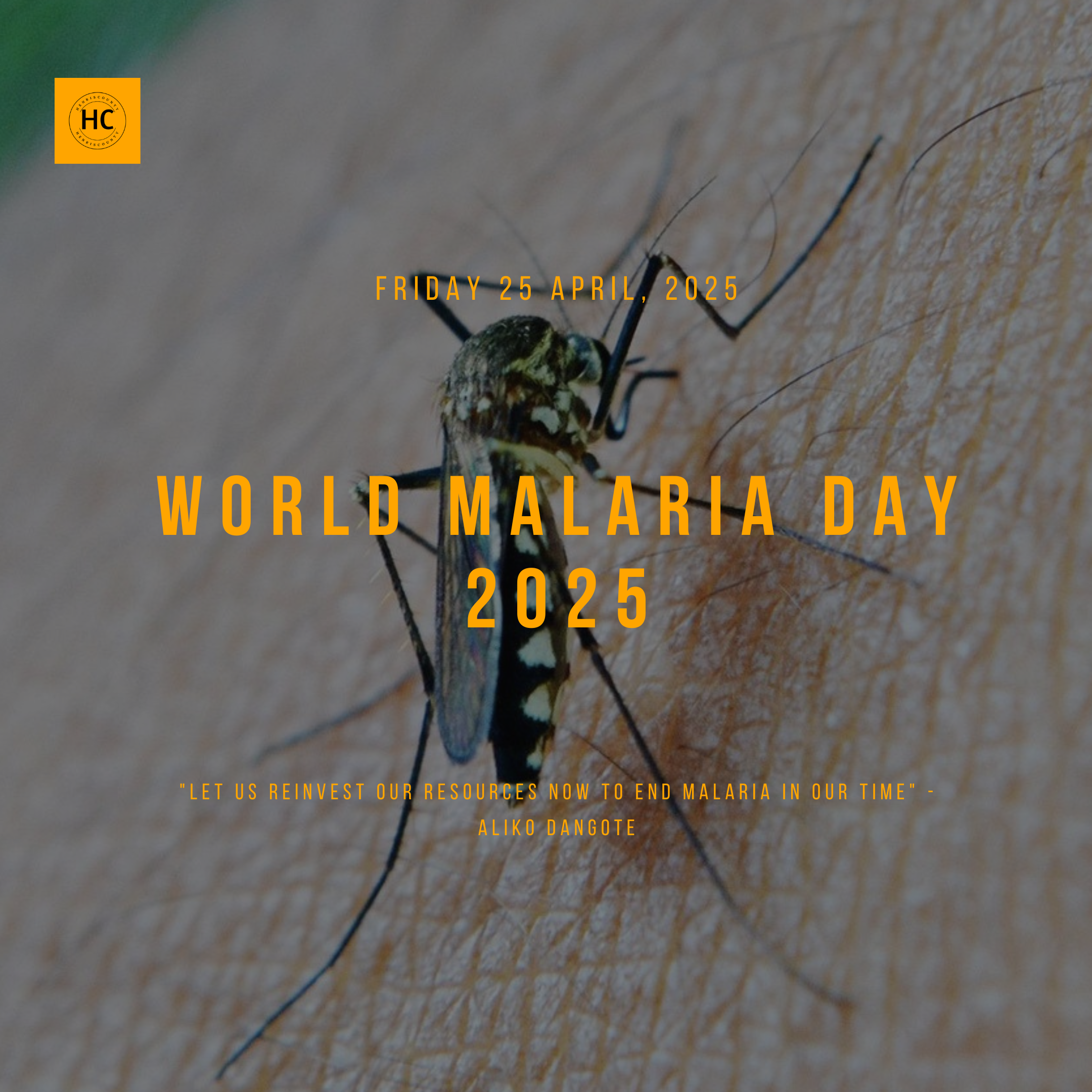 World Malaria Day 2025: ‘Let us reinvest our resources now to end malaria in our time’ – Dangote