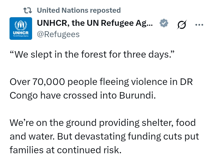 DR Congo Conflict: 'We slept in the forest for three days' - over 70,000 people flee into Burundi