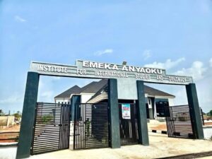 Anambra State: President Tinubu to commission Emeka Anyaoku Institute of  International Studies and Diplomacy