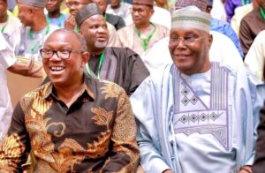 'I firmly believe that we can generate more revenue from agriculture than we currently make from oil' - Peter Obi