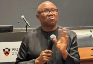 K*llings In Benue State: 'Bl*odshed staggering, yet response remains weak and muted' - Peter Obi