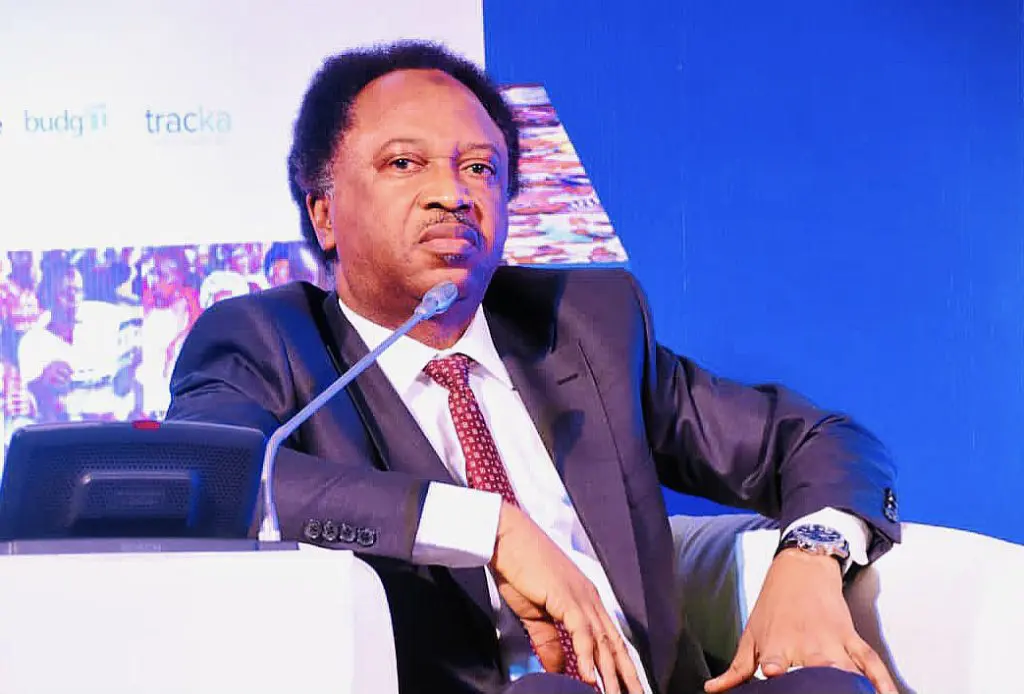 ‘Nigerians are paid $120 monthly wages while Koreans are paid $7k’ – Senator Sani