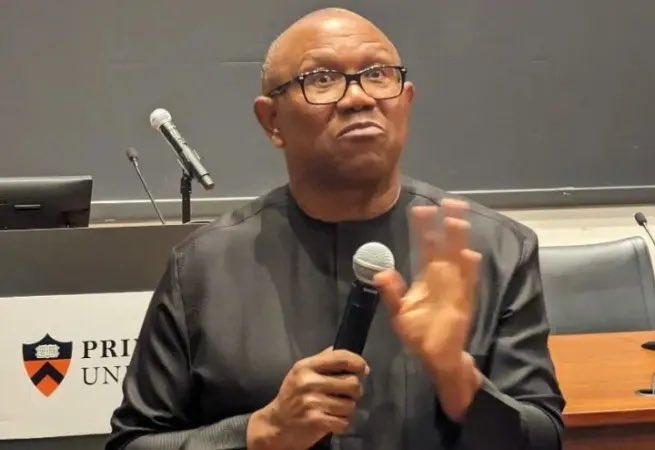 Democracy Day 2025: ‘Deeply troubling that our nation has witnessed broad erosion of democratic principles’ – Peter Obi
