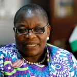 Benue State K*llings: ‘They believe the Nigerian citizens are conquered souls’ – Convo between Information Platform and Ezekwesili
