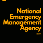 NEMA receives 147 Nigerian returnees from Niger Republic