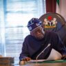 Gombe State: Governor Yahaya hails President Tinubu for ‘₦120 billion support for livestock development’