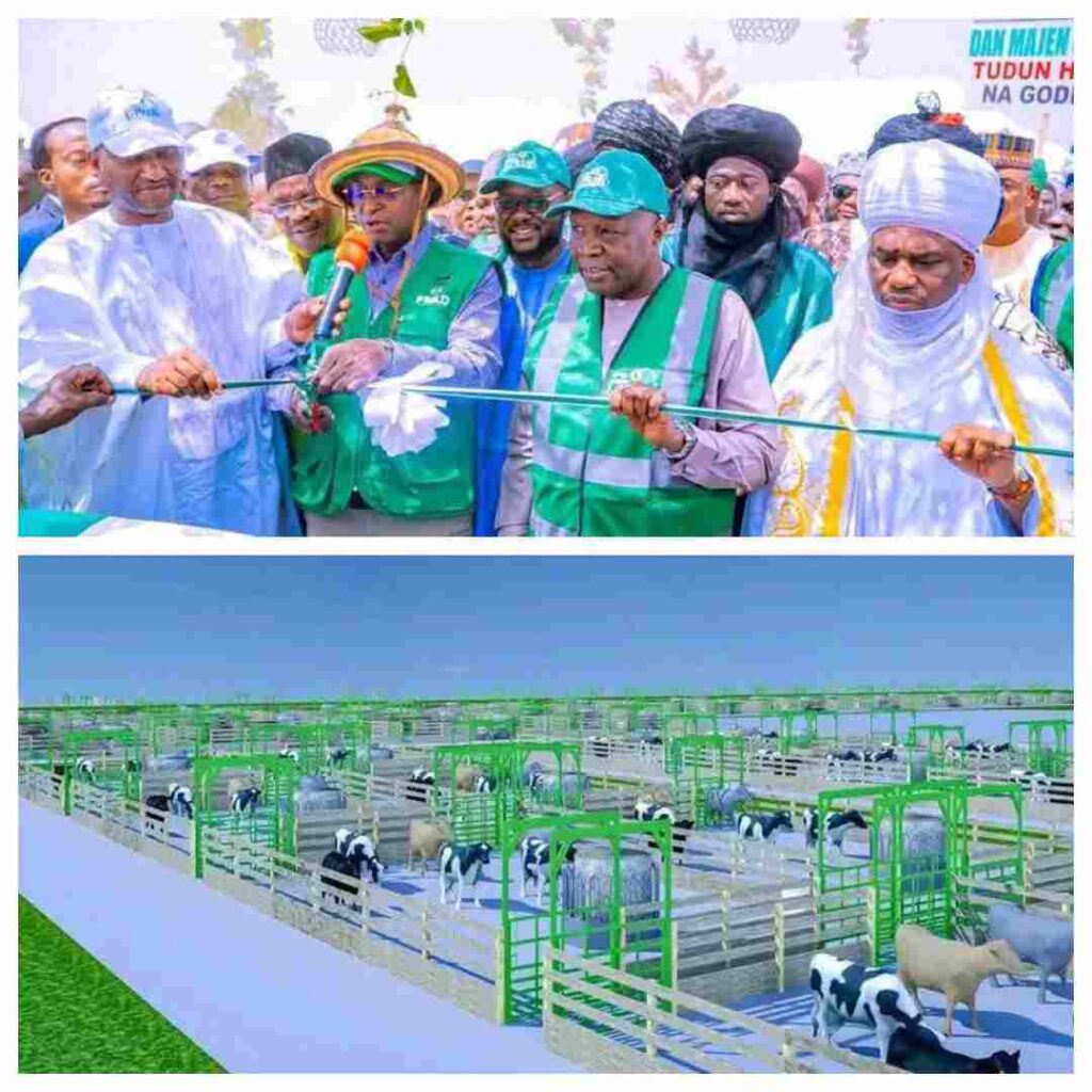 2027 Election: Gombe Governor Yahaya vows to support President Tinubu’s re-electiom bid after receiving ₦60bn for agro-livestock project