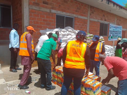 Benue State K*llings: NEMA deploys relief materials to Yelewata Community following attacks