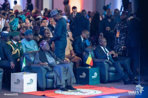 ‘Let’s move from talk to action’ – Nigeria and Benin Republic sign agreement to deepen bilateral integration at WAES 2025