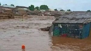 FG elevates flood prevention to national security priority with the launch of new AAFF