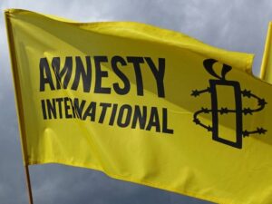 'Nigerian authorities must investigate all reported cases of mob v*olence' - Amnesty International