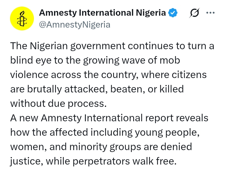 'Nigerian authorities must investigate all reported cases of mob v*olence' - Amnesty International