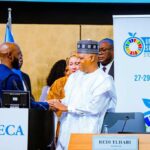 Nigerian government unveils 10-year plan to transform agricultural sector