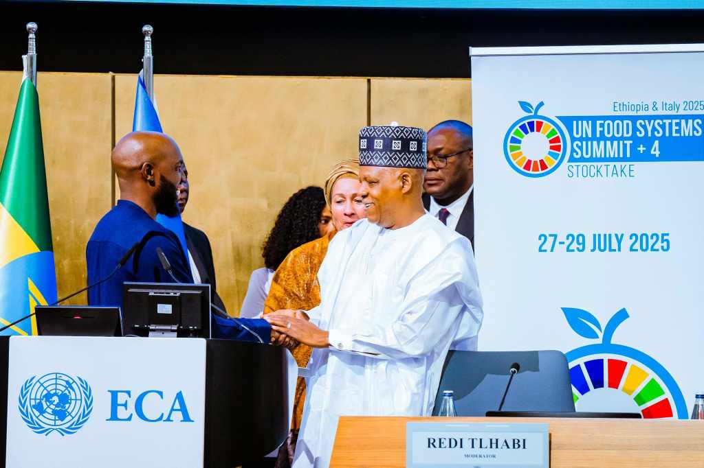 Nigerian government unveils 10-year plan to transform agricultural sector