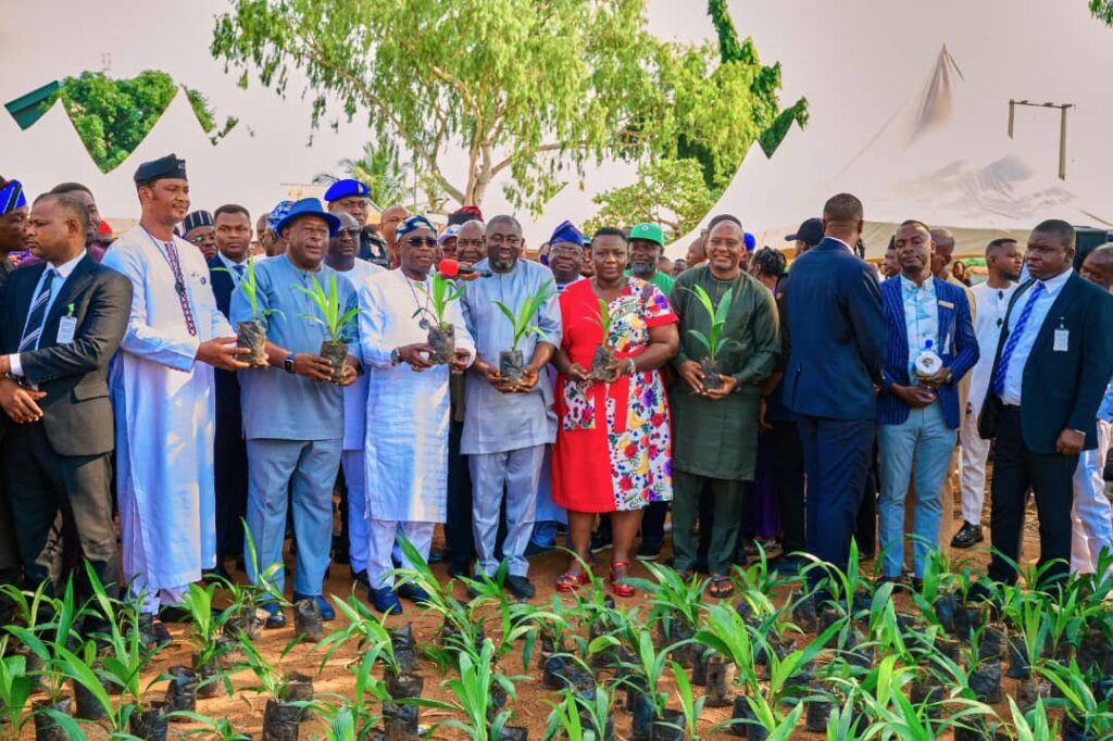 Governor Alia distribute oil palm seedlings to NUJ members in Benue State