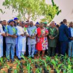 Governor Alia distribute oil palm seedlings to NUJ members in Benue State