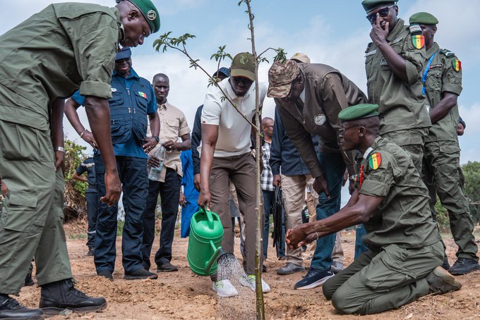 President Faye launches National Ecological Caravan, to plant ‘1 million trees in 48 hours’