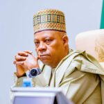 President Tinubu approves six-month temporary ban on export of raw shea nut