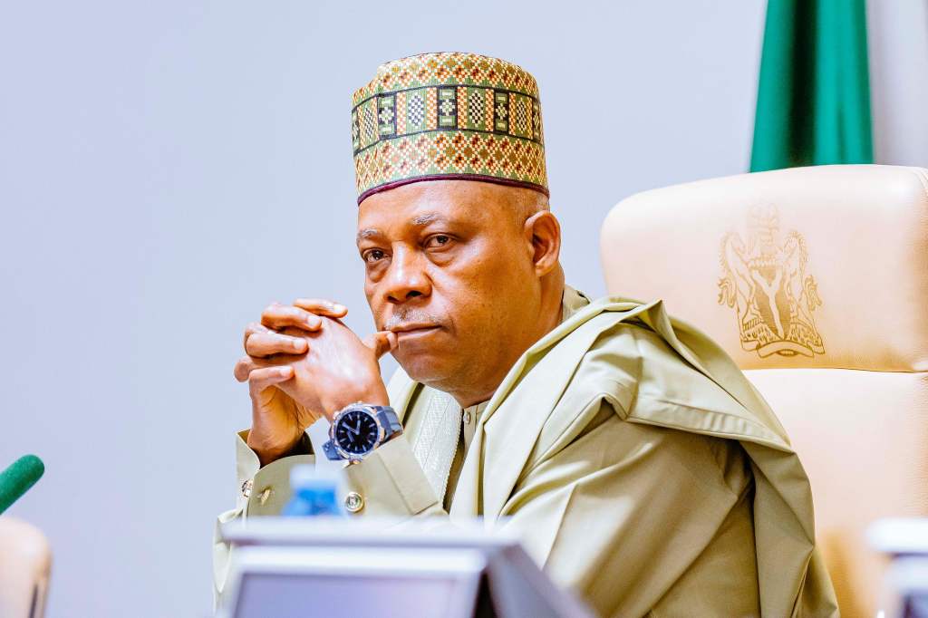 President Tinubu approves six-month temporary ban on export of raw shea nut