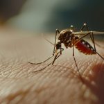 China reports 7,000 cases of mosquito-borne chikungunya virus