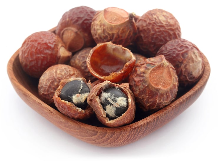 Nigeria’s six-month ban on raw Shea exports ‘a win for our farmers’ – President Tinubu