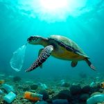 ‘Every minute, 15 tonnes of plastic end up in our oceans’ – Macron