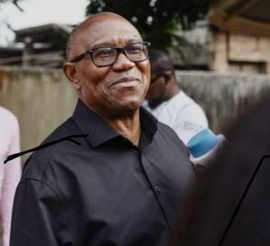 'Trillions we have borrowed cannot be traced to any meaningful impact in the critical sectors' - Peter Obi