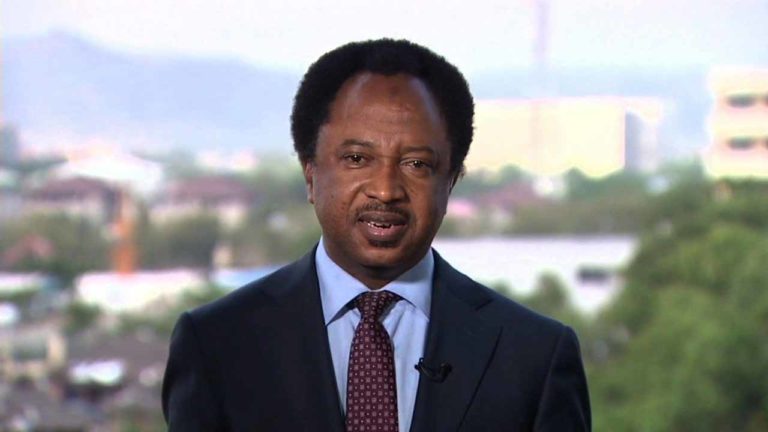 ‘Dangote should recall the workers sacked’ – Senator Sani