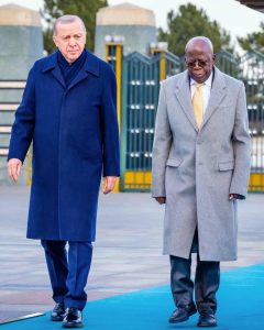 '5bn trade volume between Nigeria and Turkiye': Erdogan welcomes Tinubu