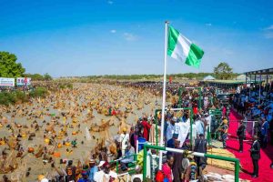 'Stability is gradually returning' - President Tinubu says as he celebrates Argungu Fishing Festival