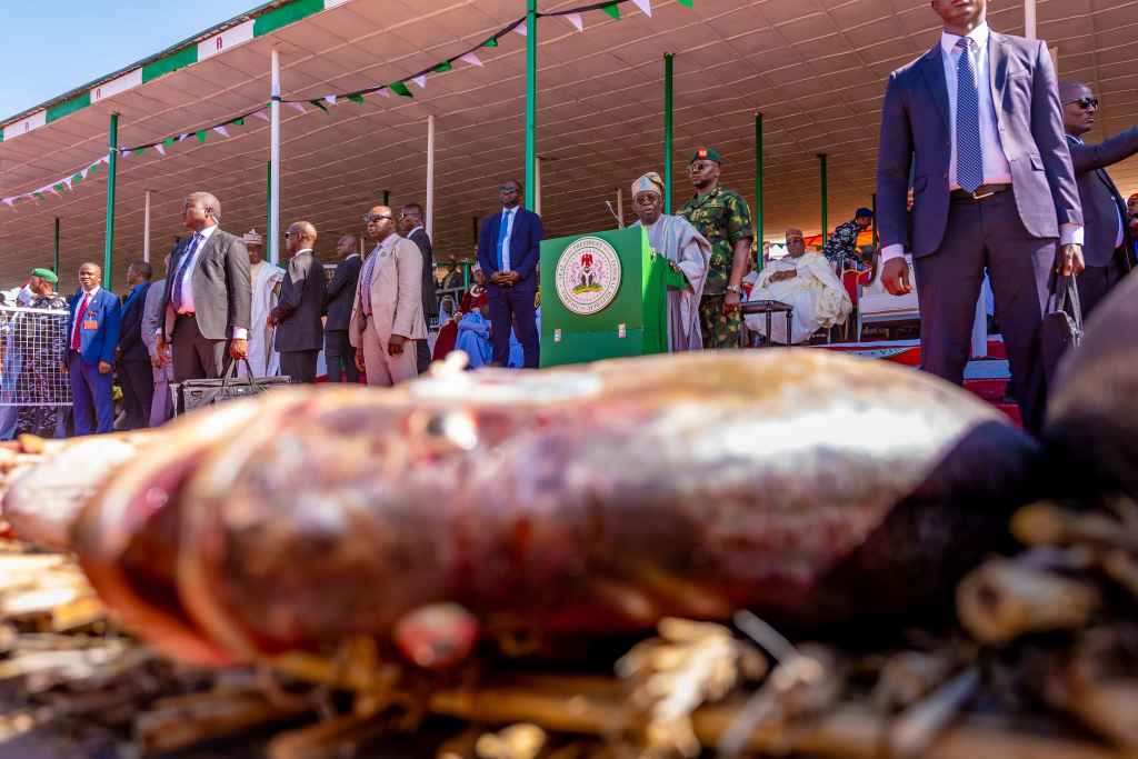 'Stability is gradually returning' - President Tinubu says as he celebrates Argungu Fishing Festival 2 'Stability is gradually returning' - President Tinubu says as he celebrates Argungu Fishing Festival