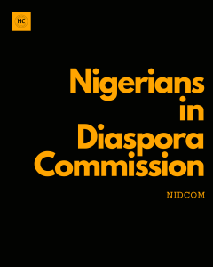 NiDCOM warn Nigerians against 'escalating anti-foreigner demonstrations' in South Africa
