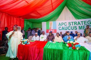 2027 Elections: Senator Adeola 'Yayi' officially unveiled as APC Ogun State Guber candidate