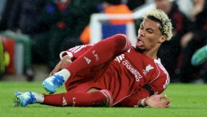 Hugo Ekitike to miss World Cup with Achilles injury