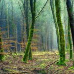 Climate Change: 5 ways to live a more climate-friendly life 3 Climate Change: 5 ways to live a more climate-friendly life