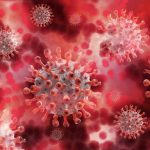 Hantavirus confirmed cases rise to 9