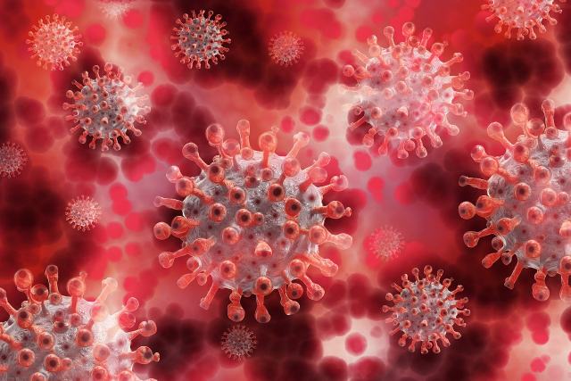 Hantavirus confirmed cases rise to 9 7 Hantavirus confirmed cases rise to 9