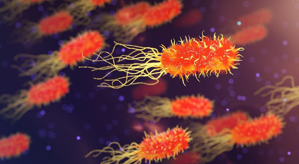 Disease X: The next pandemic? Speed of spread and defense