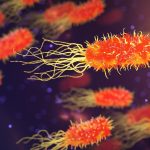 Disease X: The next pandemic? Speed of spread and defense