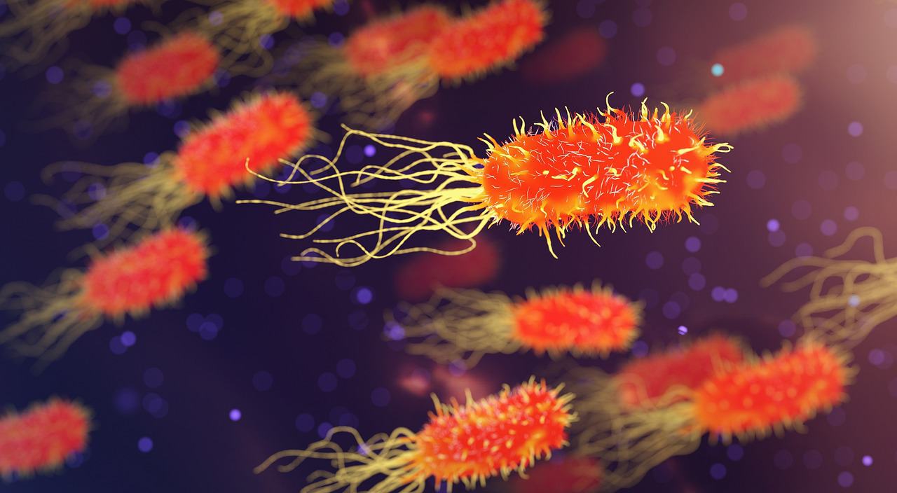 Disease X: The next pandemic? Speed of spread and defense