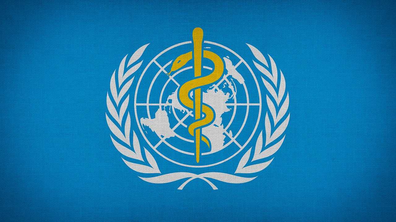 WHO releases hantavirus infection alert, 3 confirmed dead